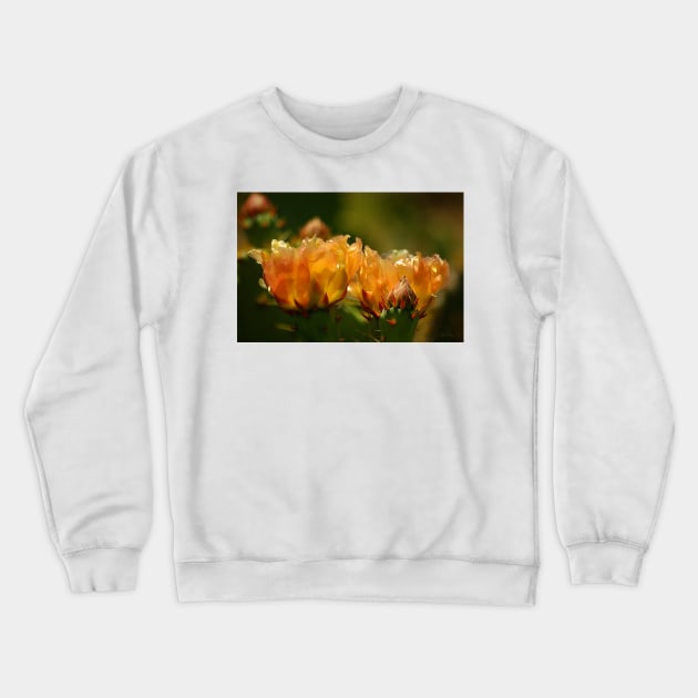 Warm Glow of Spring ~ Pancho Villa State Park, Columbus, NM Crewneck Sweatshirt by VKPelham